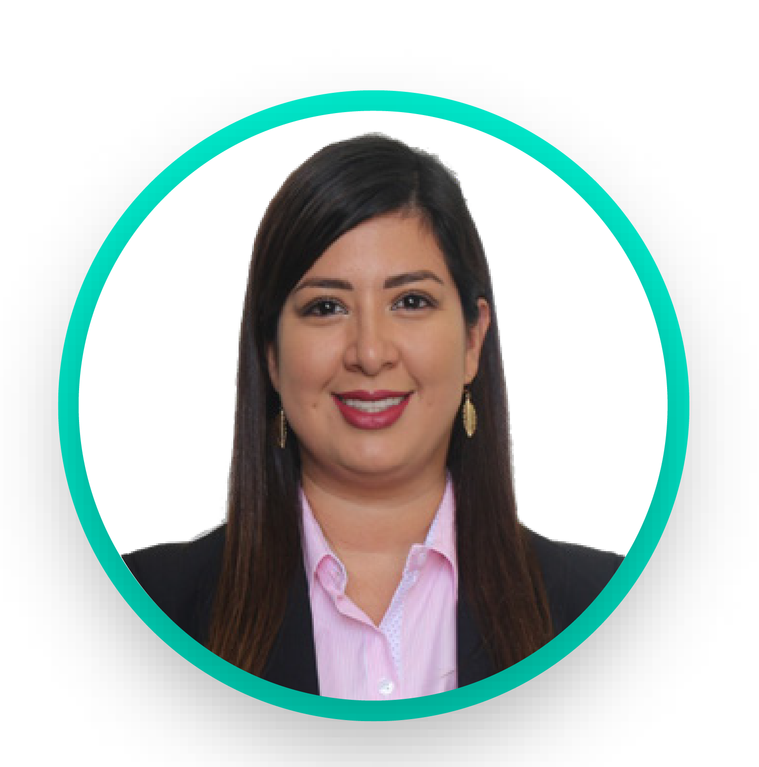 Descripción de la imagen